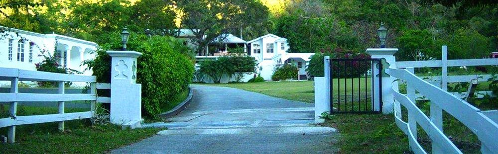 Icis Villas Brewers Bay Exterior photo