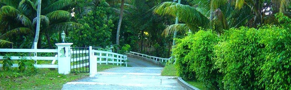 Icis Villas Brewers Bay Exterior photo