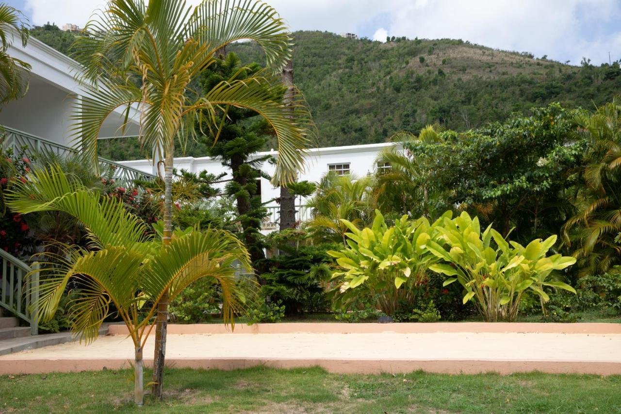 Icis Villas Brewers Bay Exterior photo