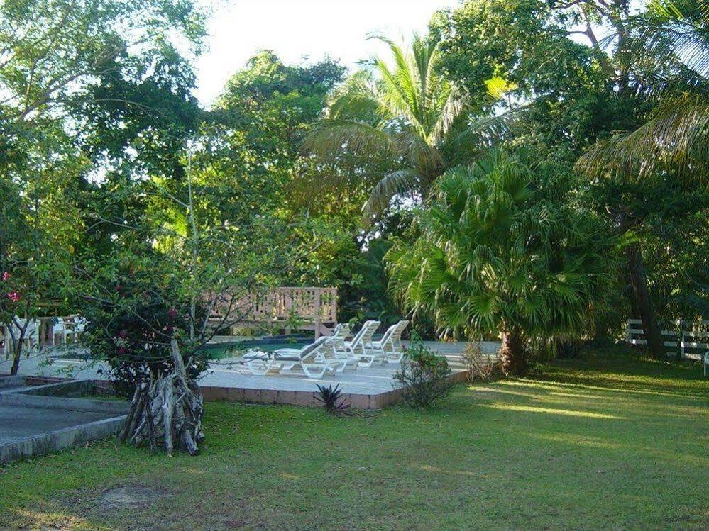 Icis Villas Brewers Bay Exterior photo