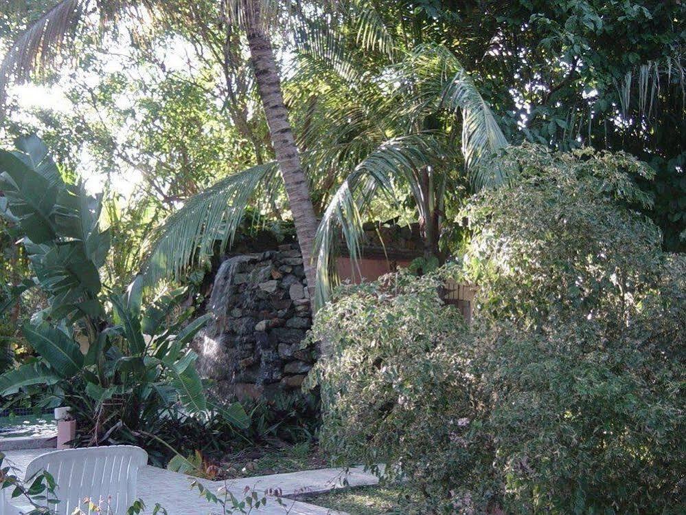 Icis Villas Brewers Bay Exterior photo